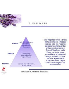 PROFUMO LAVATRICE MONODOSE  CLEAN WASH 2