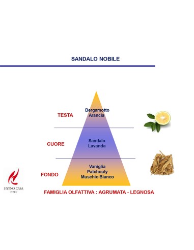 DIFFUSORE A BASTONCINO 1000 ML ECO CHIC SANDALO NOBILE