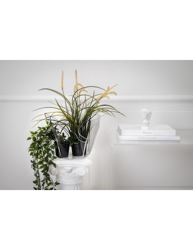 iPLEX - Vaso linea Drappeggi in plexiglass PMMA Trasparente Made in Italy - fioriera portaghiaccio - 45x29x45 cm