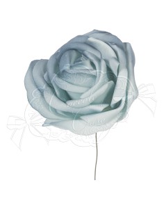 Coccole di Casa - Confezione 12 Rose C. Polvere Diam. 10Xh13