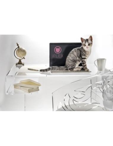 iPLEX Design - Scriptorium Home Office Scrivania Trasparente in plexiglass - 91x73x60 cm